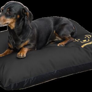 Bodyguard Elegant Pillow S Black