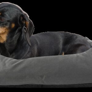 Bodyguard Sofa Bed S Grey