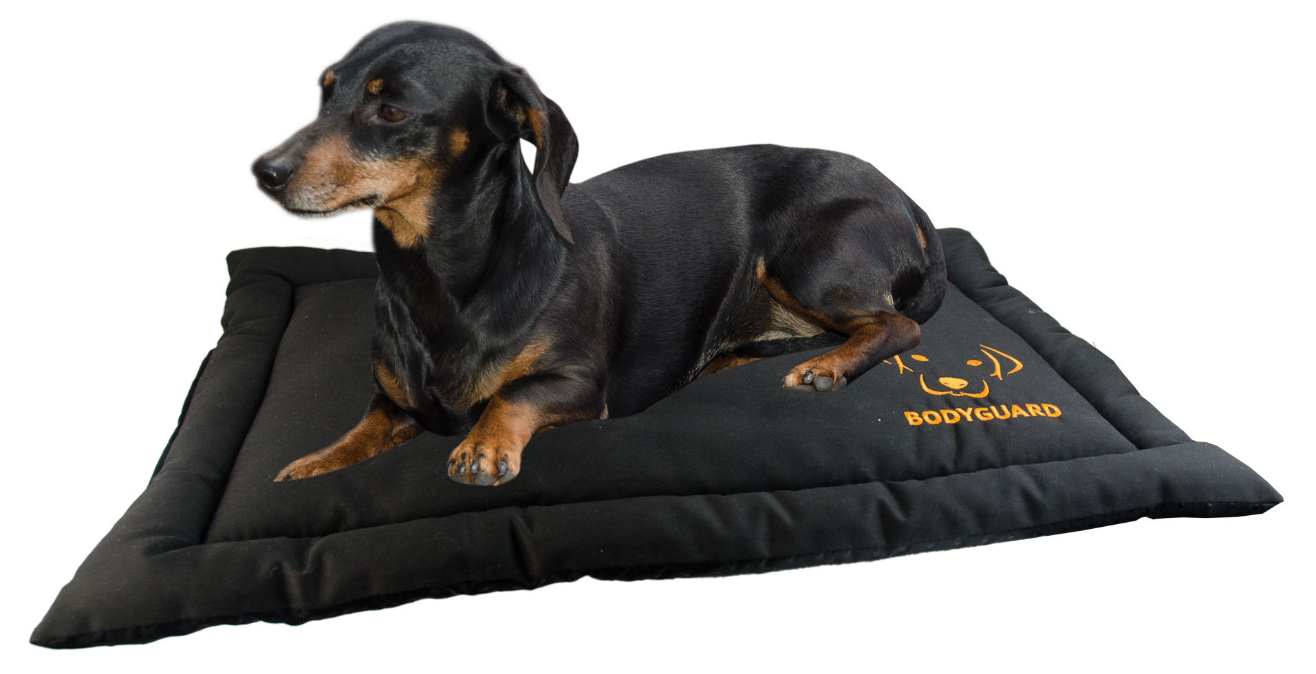Bodyguard Transport Mat S Black