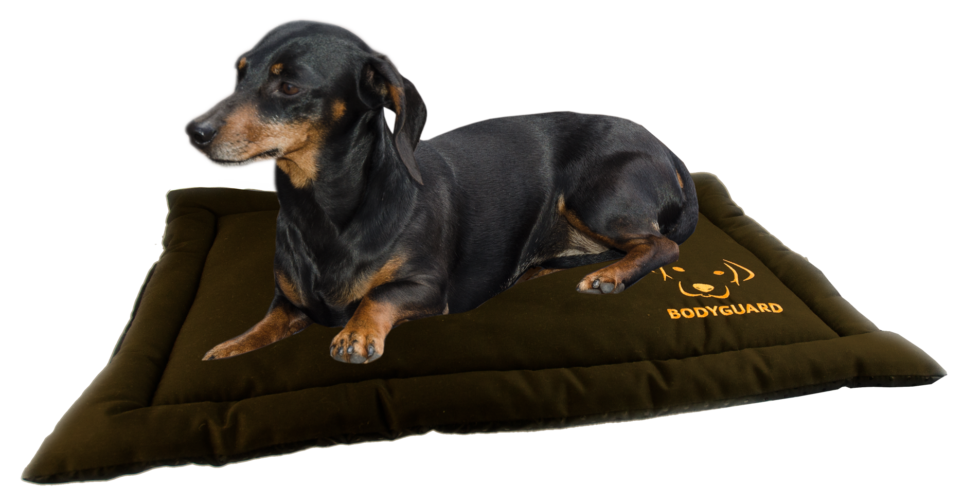 Bodyguard Transport Mat S Brown