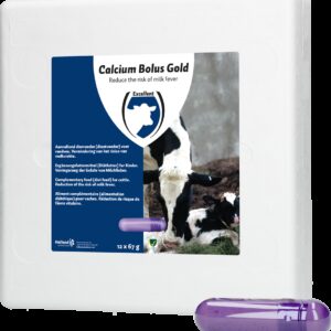 Calcium Bolus Gold