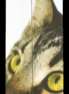 Cat Dancer Pro-Model