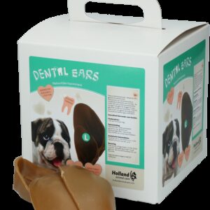 Dental Ears Large 30st