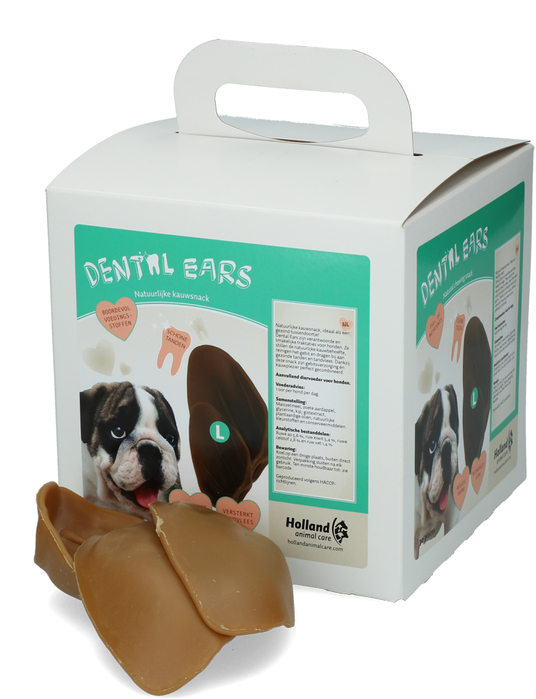 Dental Ears Large 30st
