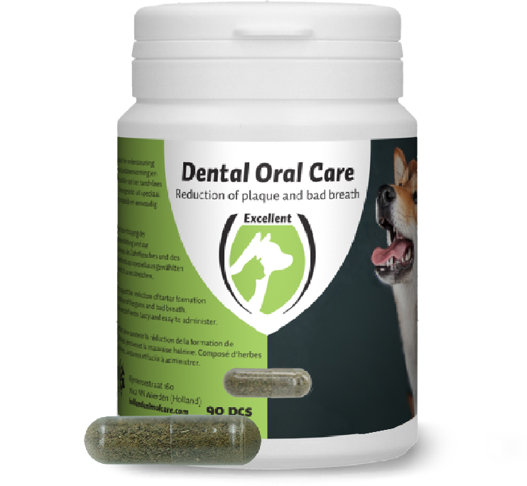 Dental Oral Care Hond
