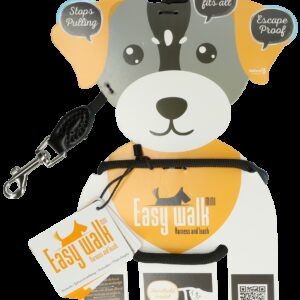 Easy Walk Mini Schoudermodel Zwart
