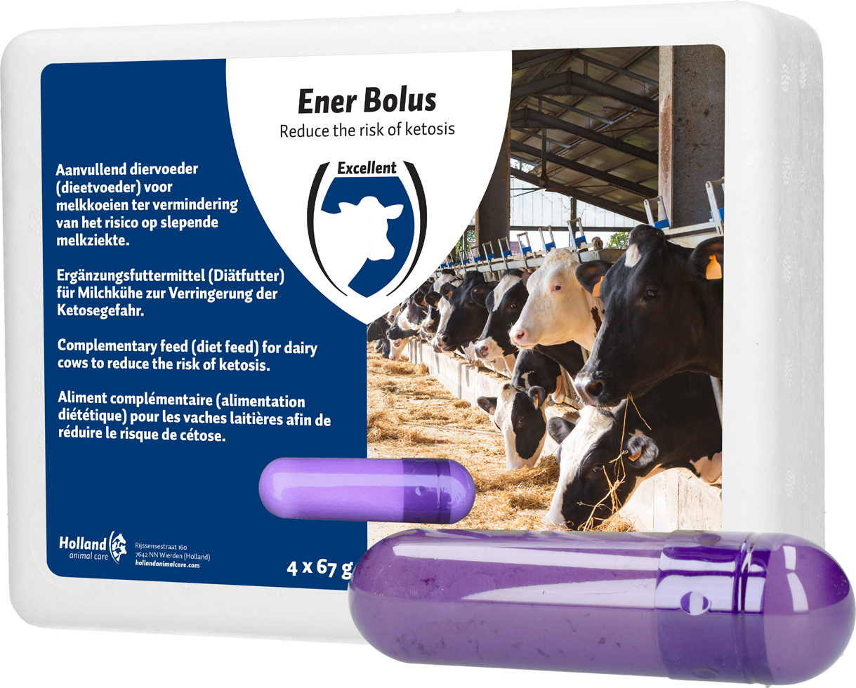 Ener Bolus - Afbeelding 2
