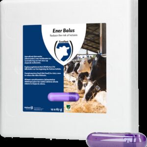 Ener Bolus