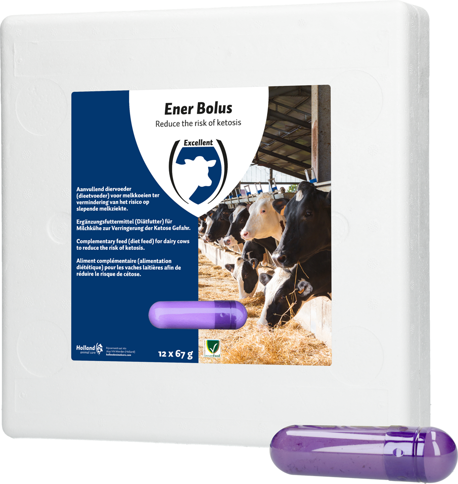 Ener Bolus
