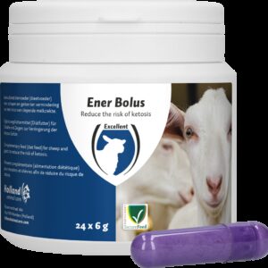 Ener Bolus Schaap & Geit