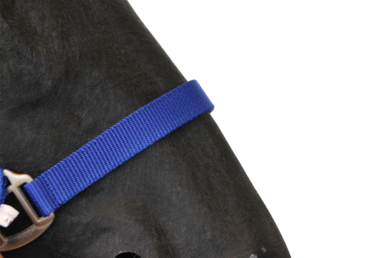 Halster Classic blauw foal - Afbeelding 2