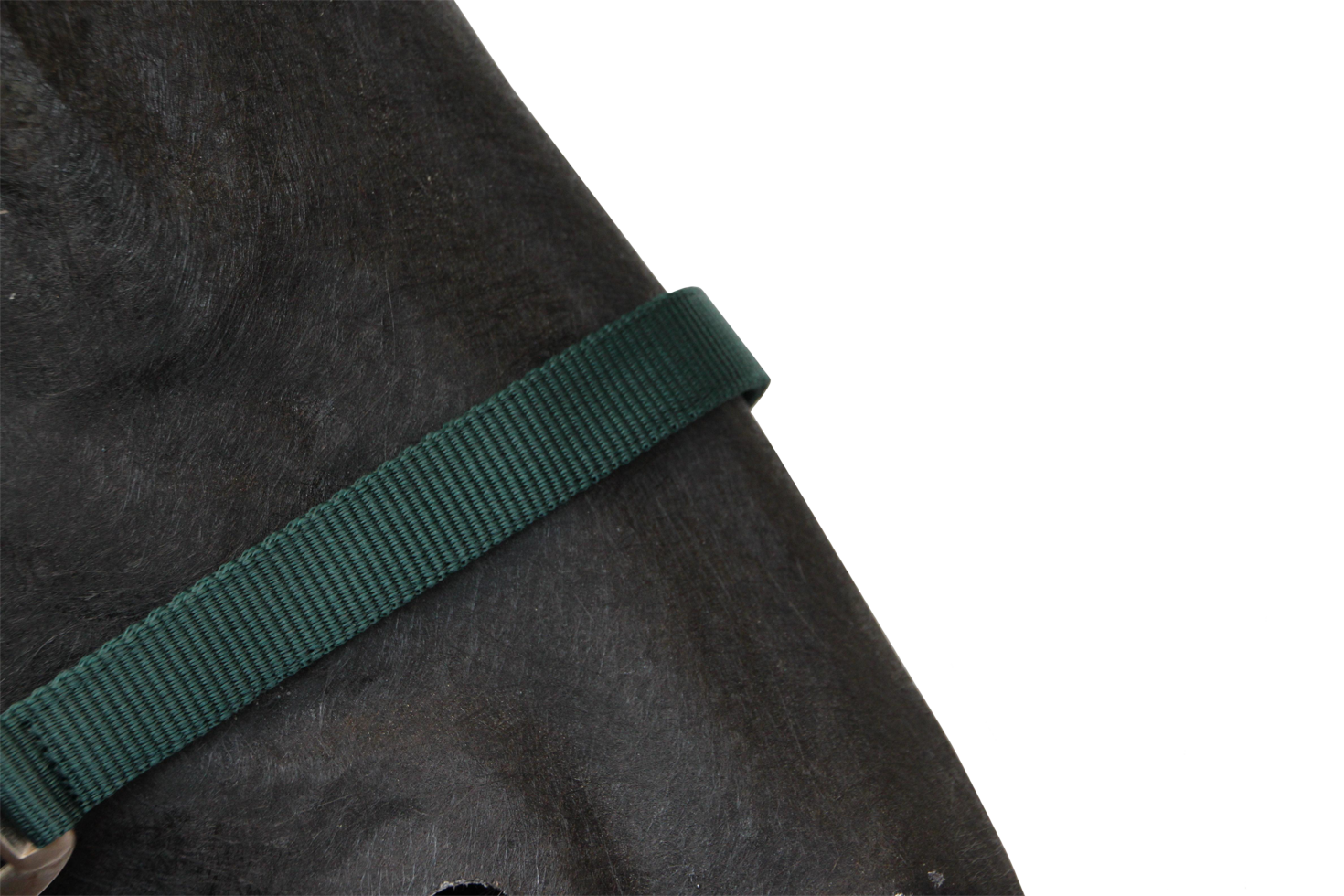 Halster Classic donkergroen mini foal - Afbeelding 4