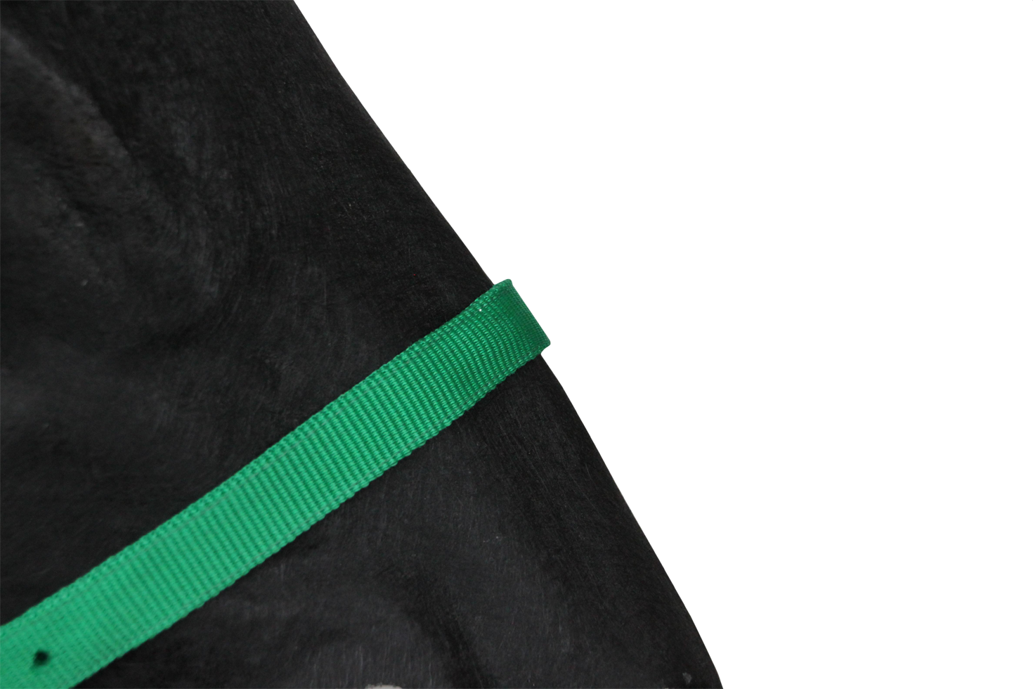 Halster Classic groen pony