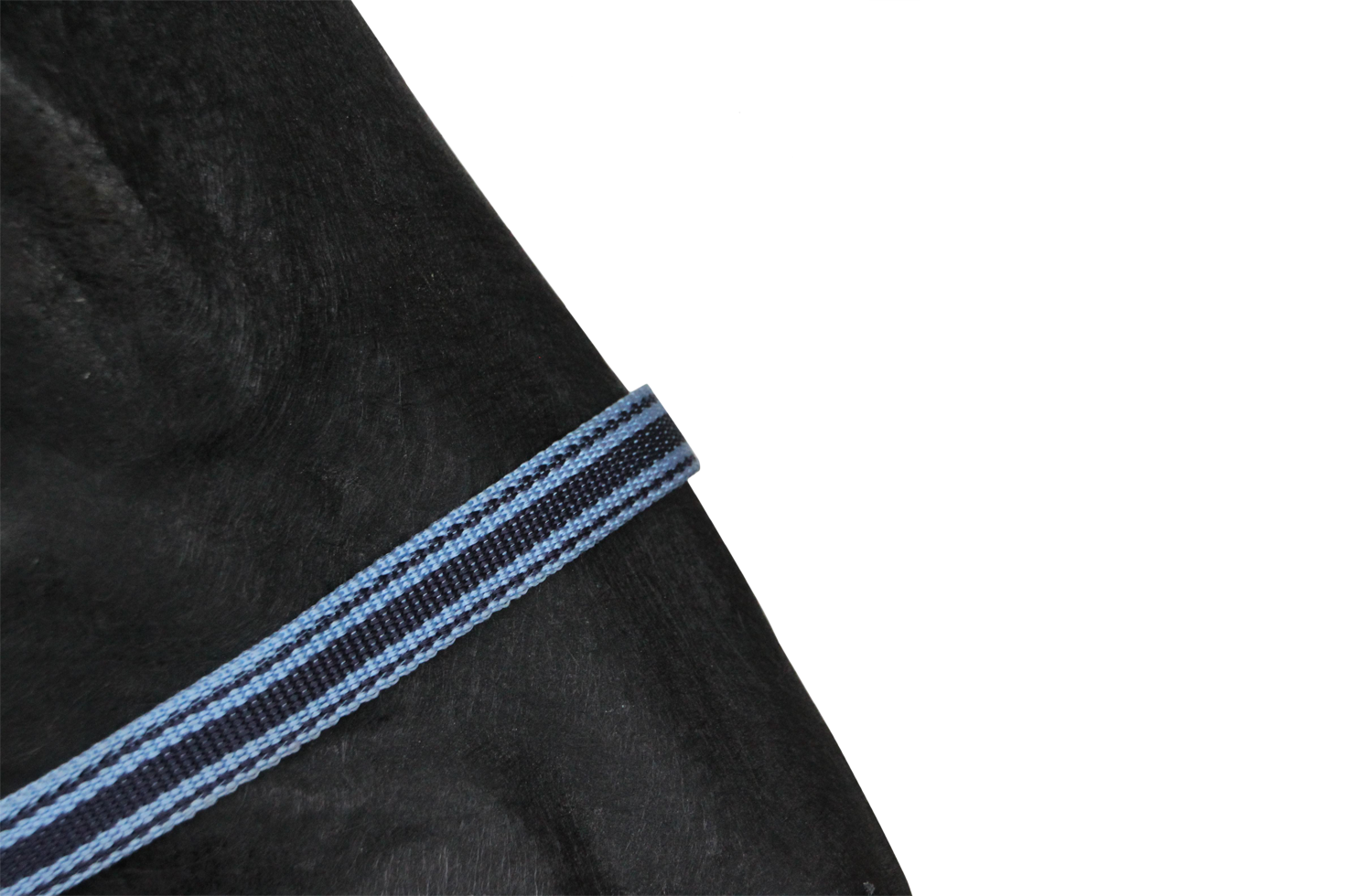 Halster Galant blauw mini foal
