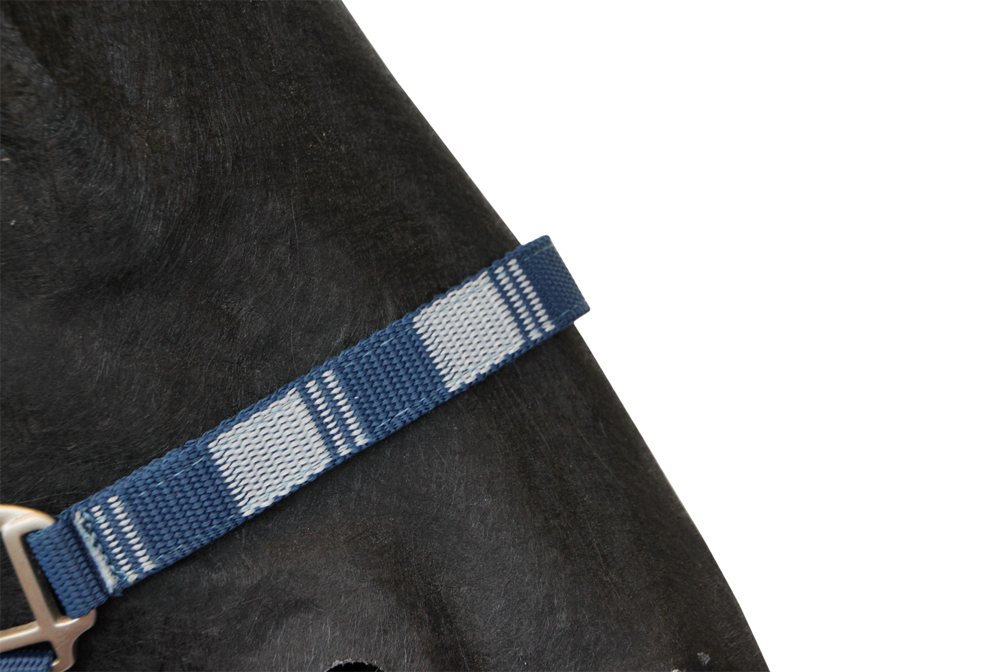 Halster Trendy blauw full