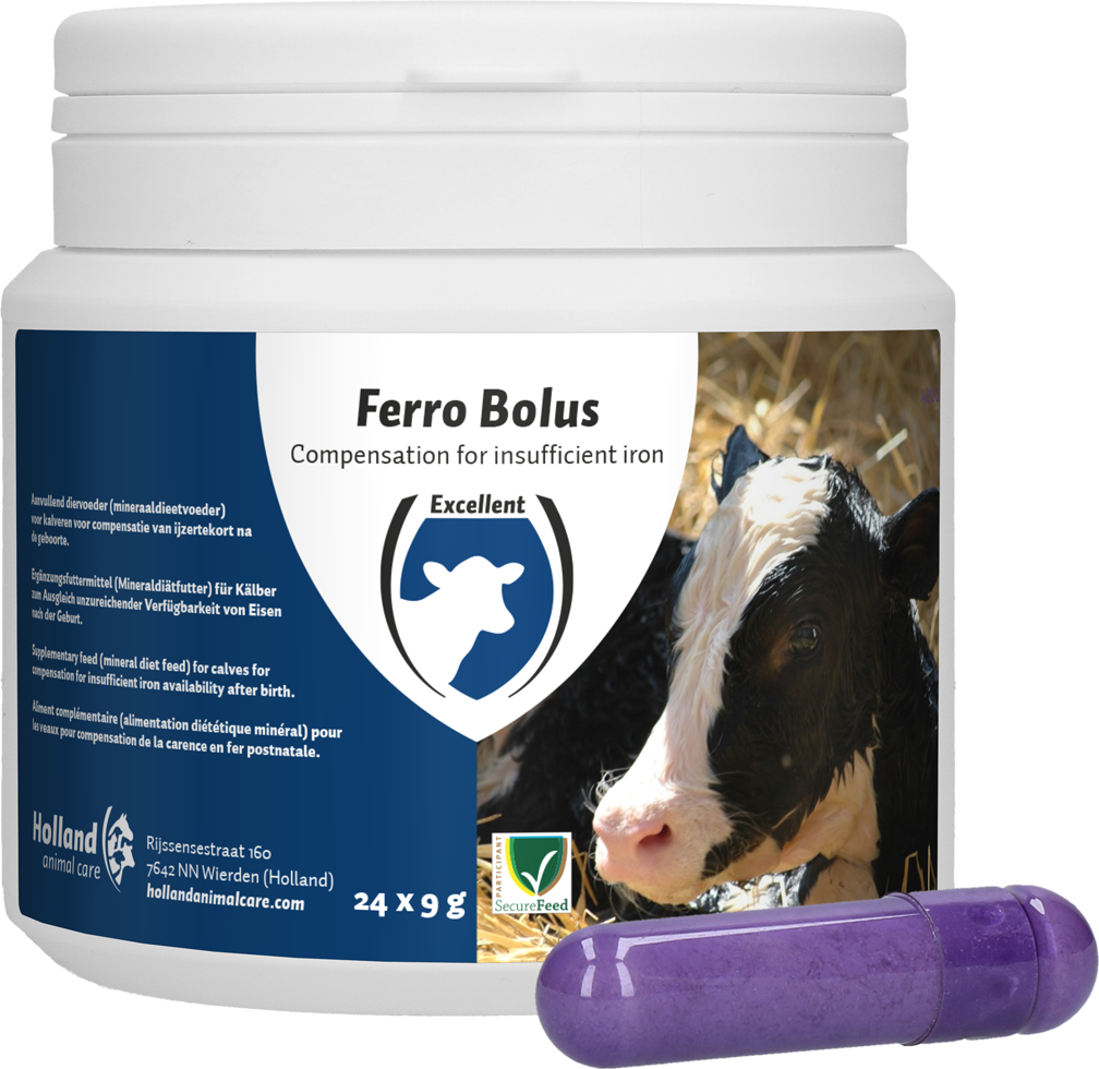 Ferro Bolus