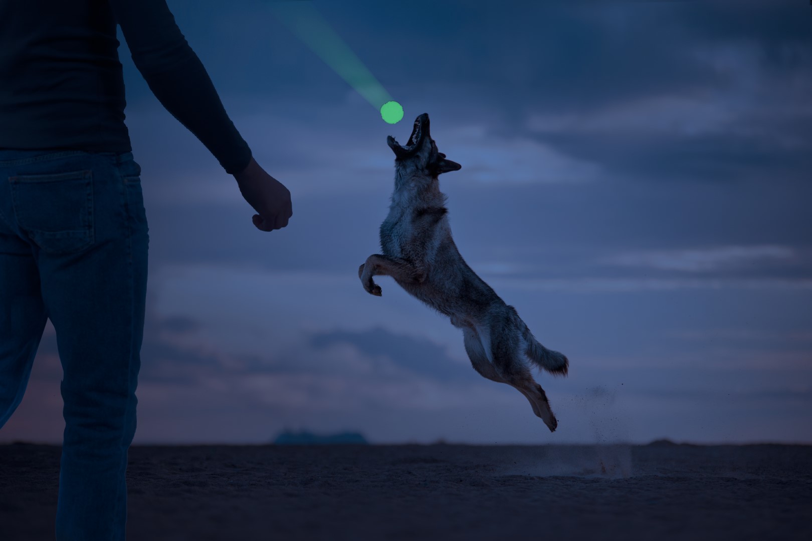 2 Glow Fetch and catch - Afbeelding 6