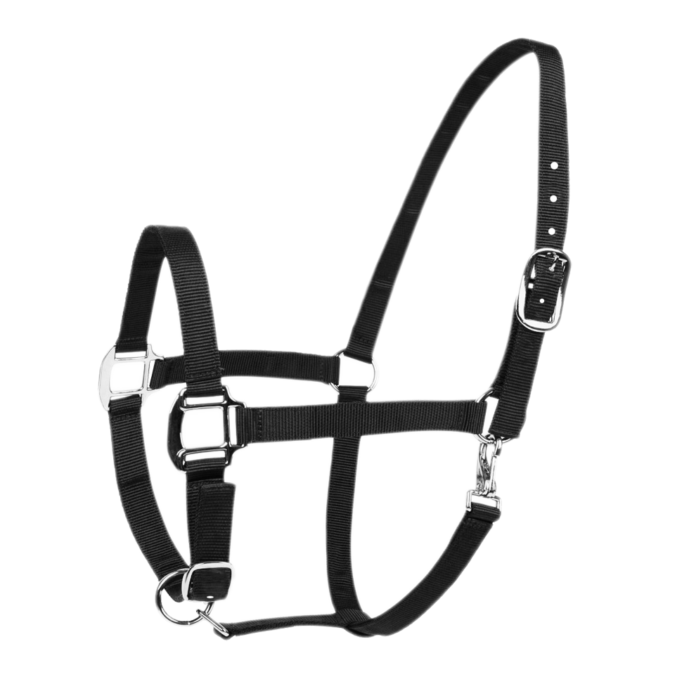 Halster Excellent zwart cob