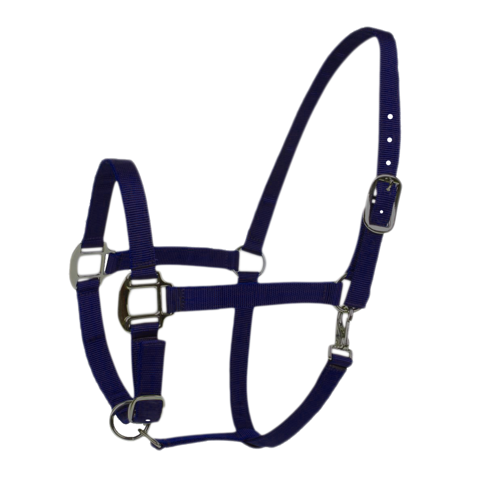 Halster Excellent donker blauw mini veulen
