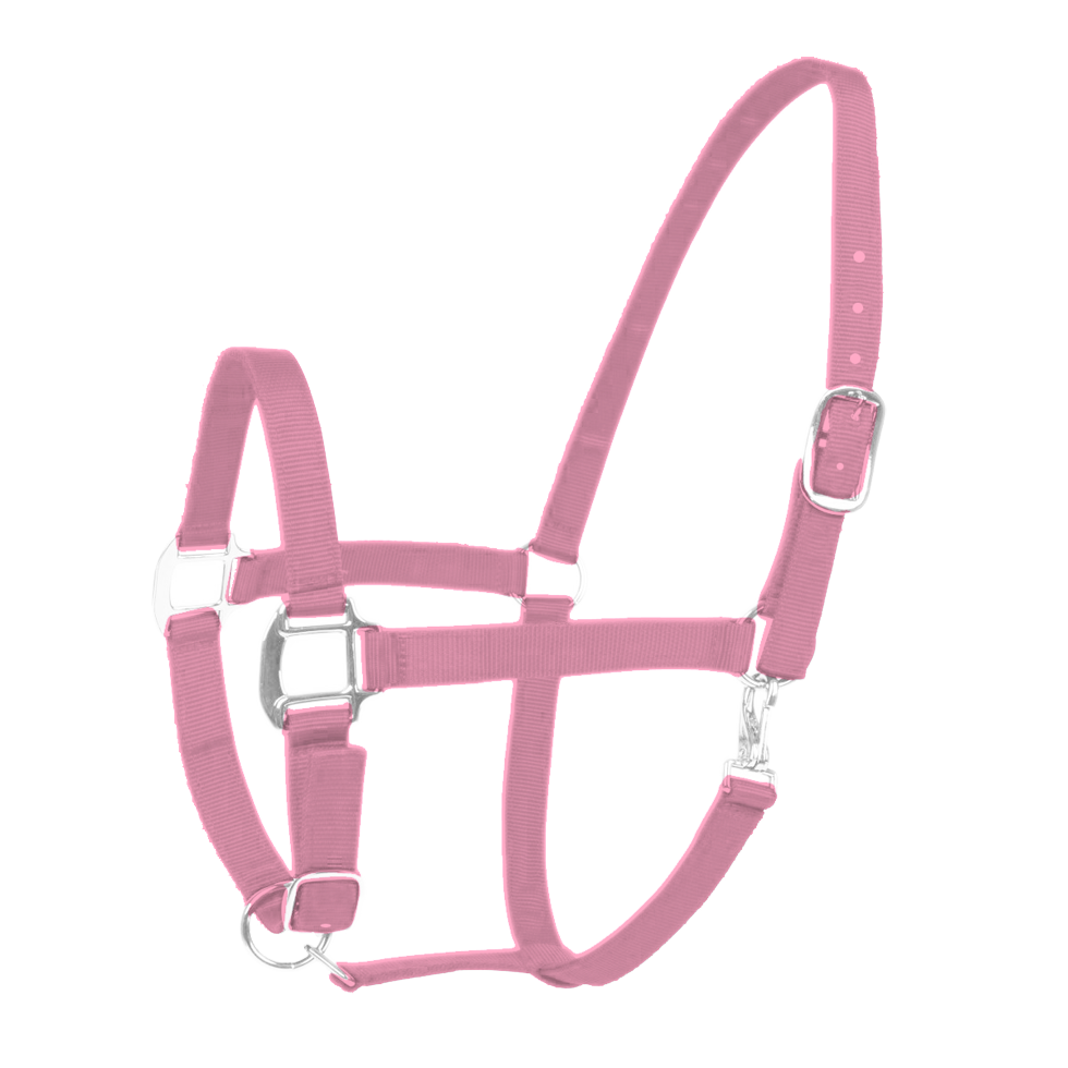 Halster Excellent roze cob