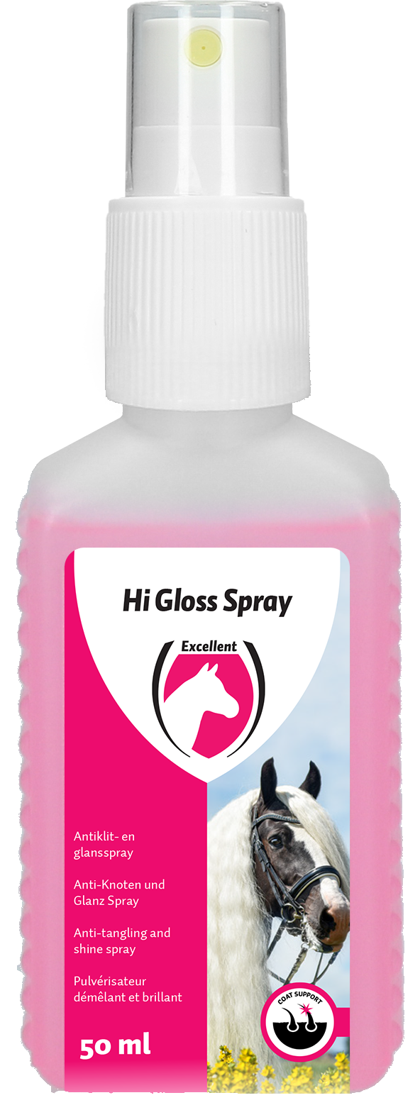 Hi Gloss Spray