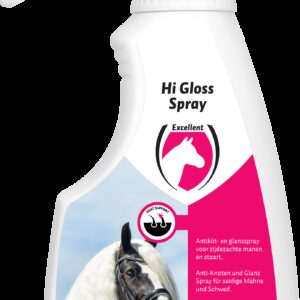 Hi Gloss Spray 250 ml