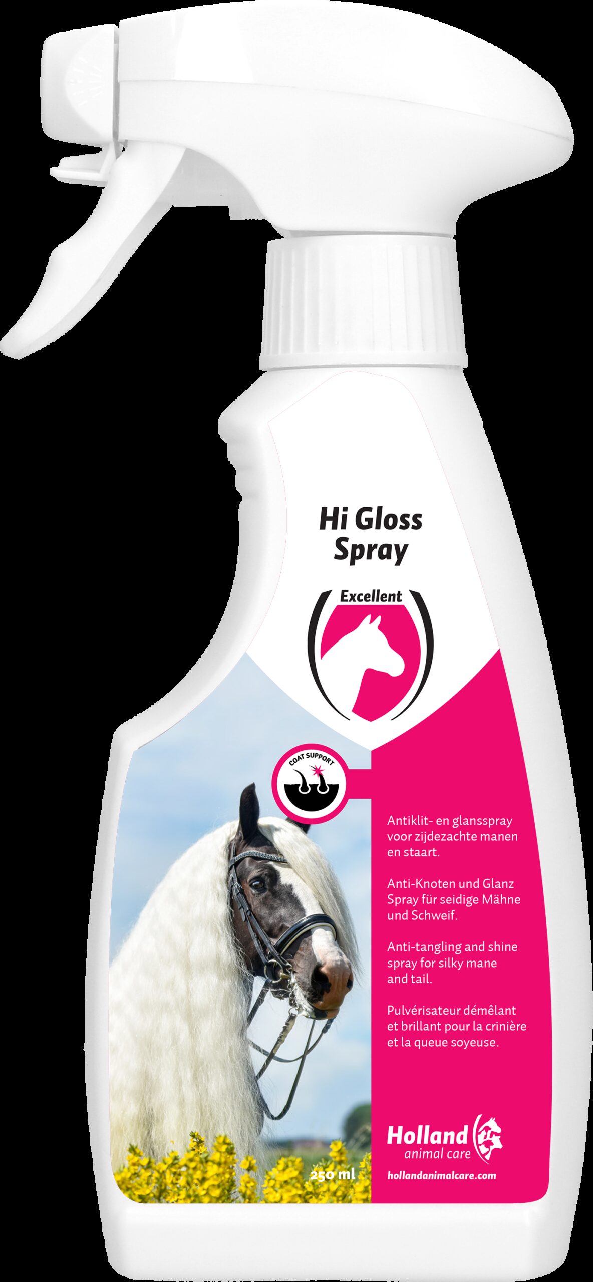 Hi Gloss Spray 250 ml