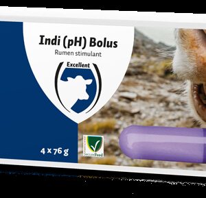 Indi Bolus