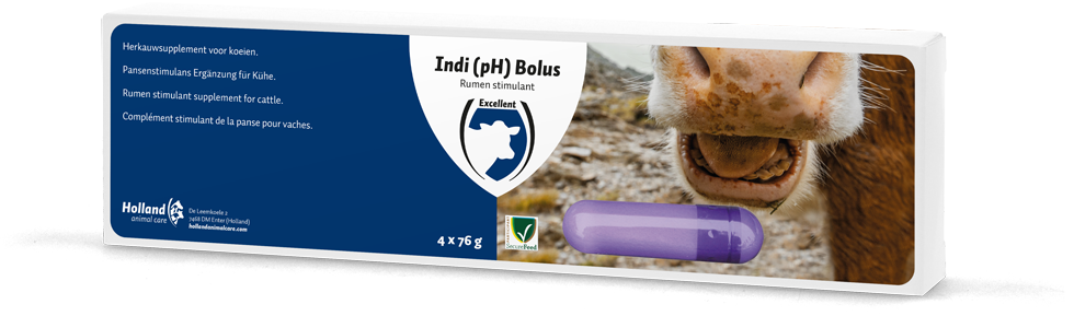 Indi Bolus