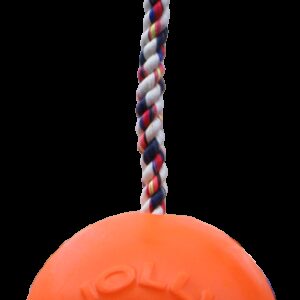 Jolly Ball Romp-n-Roll 10 cm Oranje (Vanillegeur)