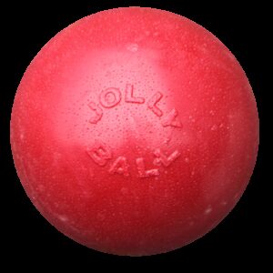 Jolly Ball Bounce-n Play 20cm Rood