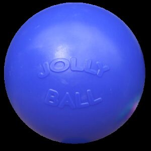 Jolly Ball Push-n-Play 25cm blauw