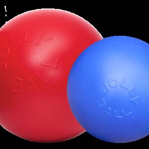 Jolly Ball Push-n-Play 25cm rood