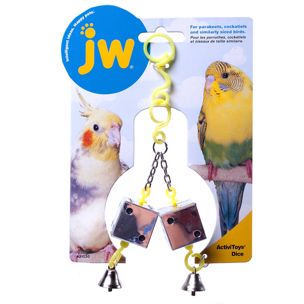 JW Activitoy Dice Toy