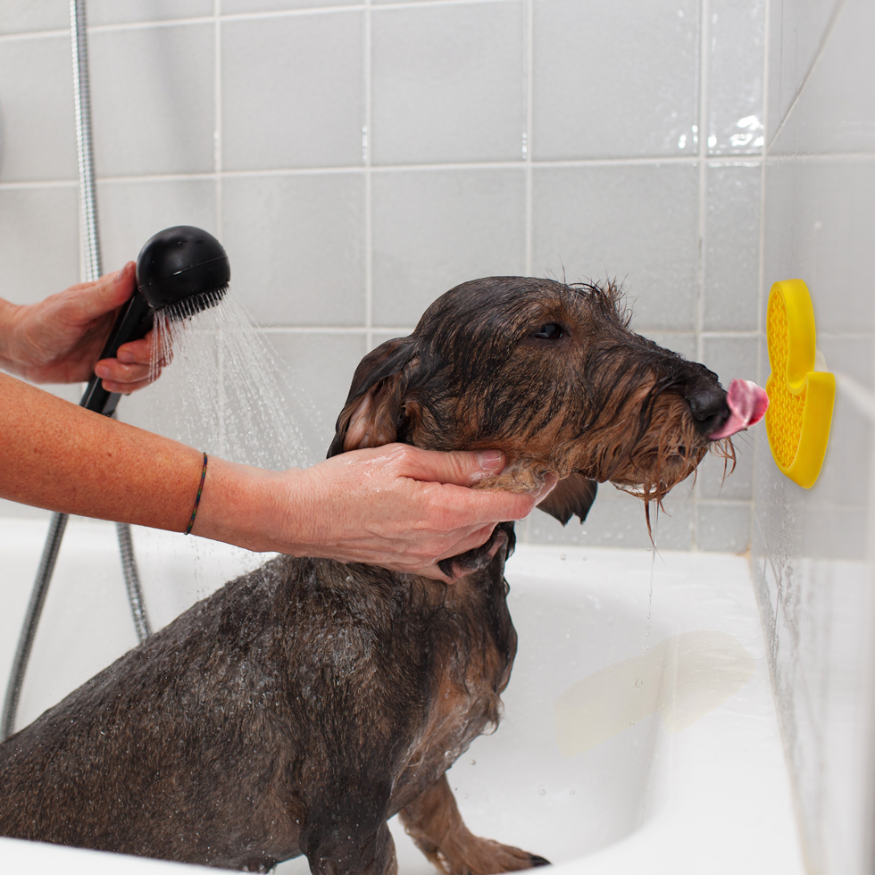 AFP Calm Paws - Bath anti anxiety duck - Afbeelding 5