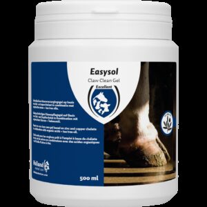 Easysol Claw clean gel