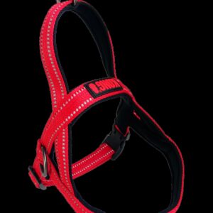 KONG Norwegian harness M Red