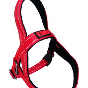KONG Norwegian harness XL Red