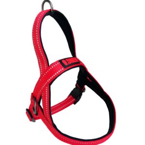 KONG Norwegian harness S Red