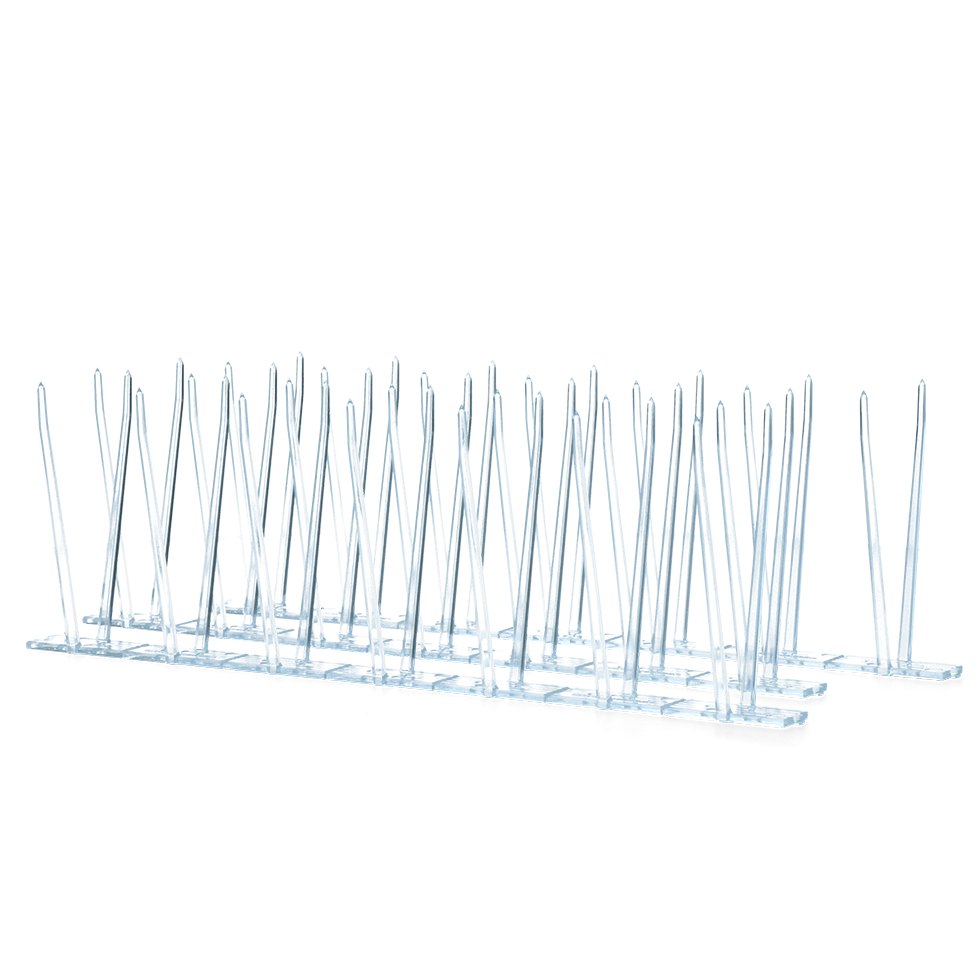 Duivenpinnen 100 cm (3 strips) - Afbeelding 2