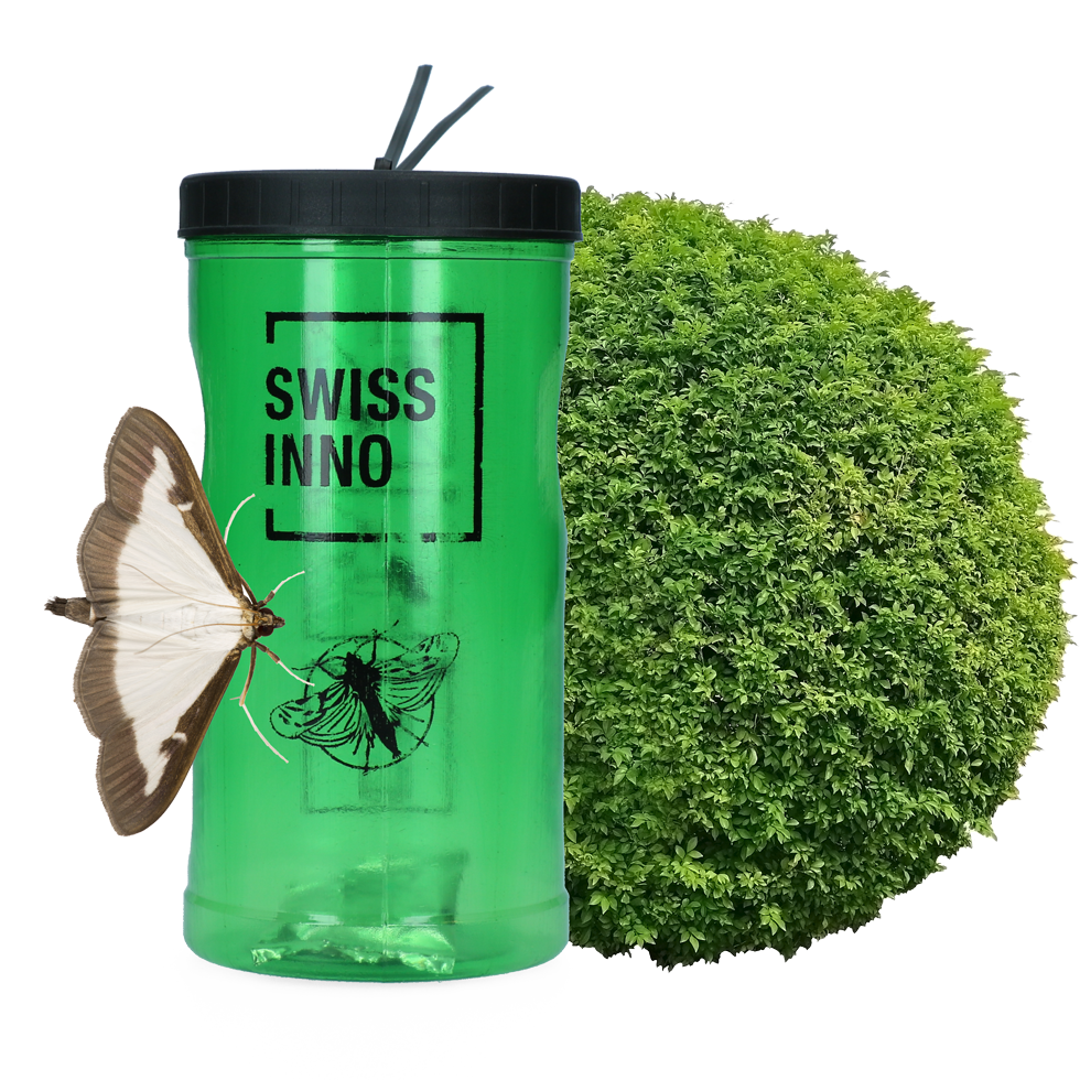 Buxusmotval incl. Lokstof