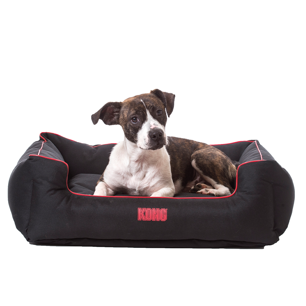 KONG Lounger Beds Small, Black - Afbeelding 2