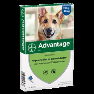 Advantage 400 hond (>25 kg) - 4 pip