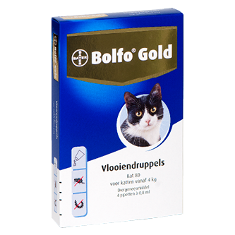 Bolfo Gold 80 kat (>4 kg) - 4 pip