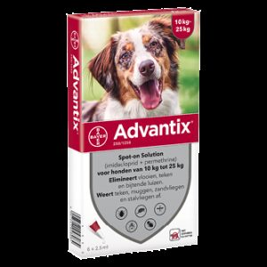 Advantix 250 hond (10 - 25 kg) - 6 pip