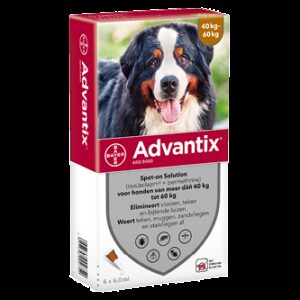 Advantix 600 hond (40 - 60 kg) - 6 pip