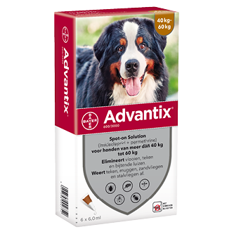 Advantix 600 hond (40 - 60 kg) - 6 pip