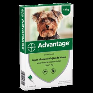 Advantage 40 hond (< 4 kg) - 4 pip