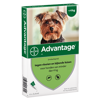 Advantage 40 hond (< 4 kg) - 4 pip