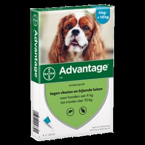 Advantage 100 hond (4 - 10 kg) - 4 pip